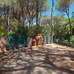 Pineta سانتا مارغريتا دي