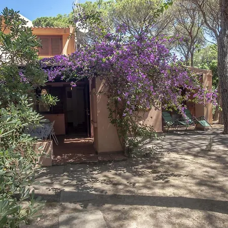 Pineta Holiday home